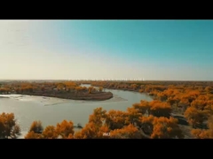 Construção da Liga da Juventude de Xinjiang